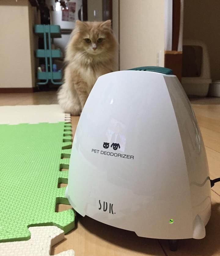 消臭器-ペットデオドライザー-ユーザー-リビング-猫