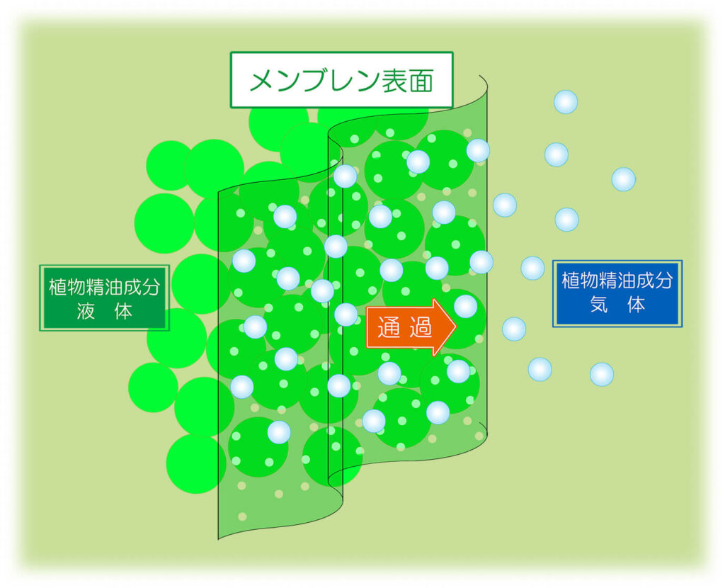フィトンチッド-メンブレンタイプ