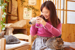 猫カフェイメージ-猫を撮影中