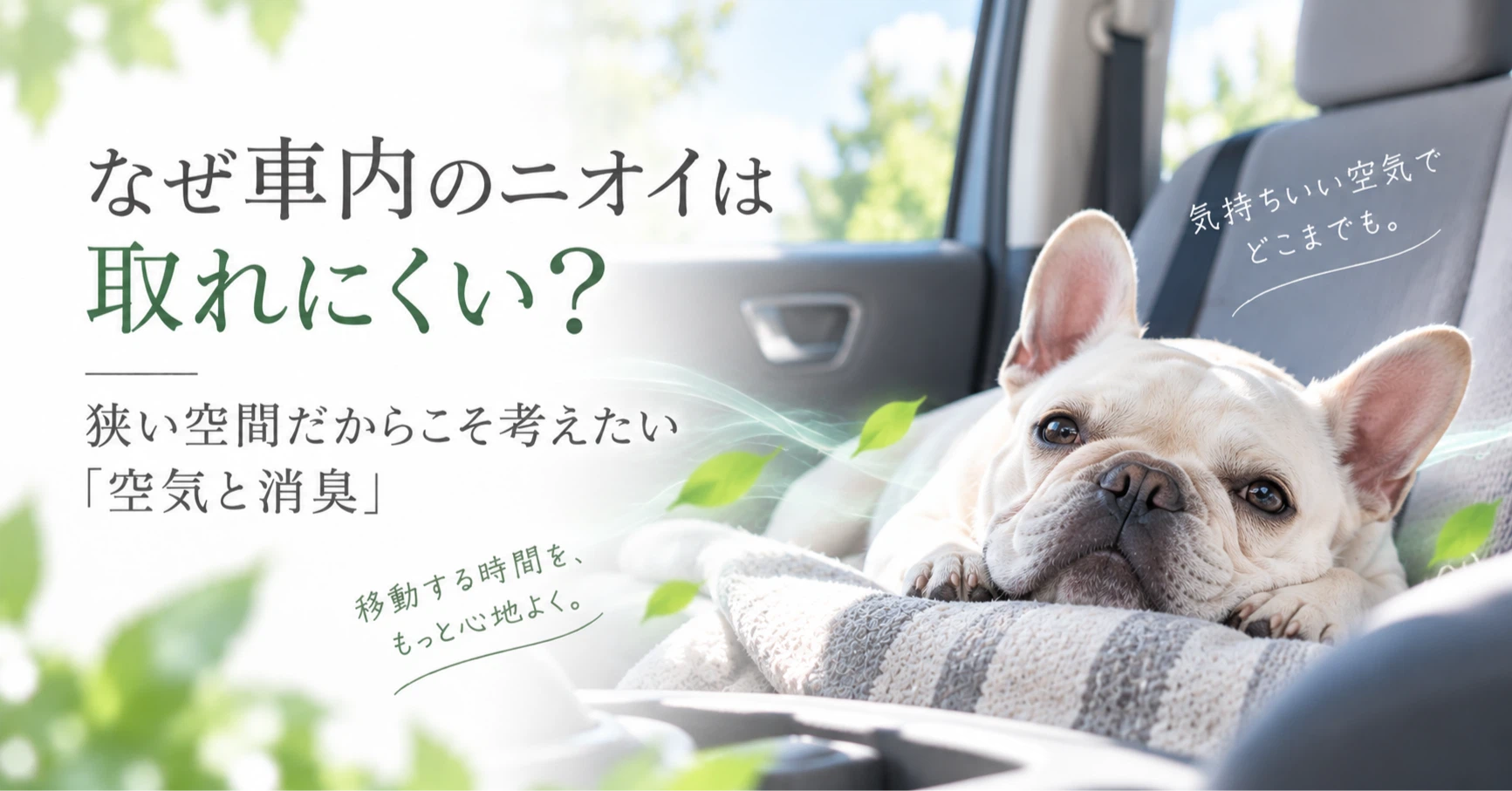 NEWなぜ車内のニオイは取れにくい？狭い空間だからこそ考えたい「空気と消臭」